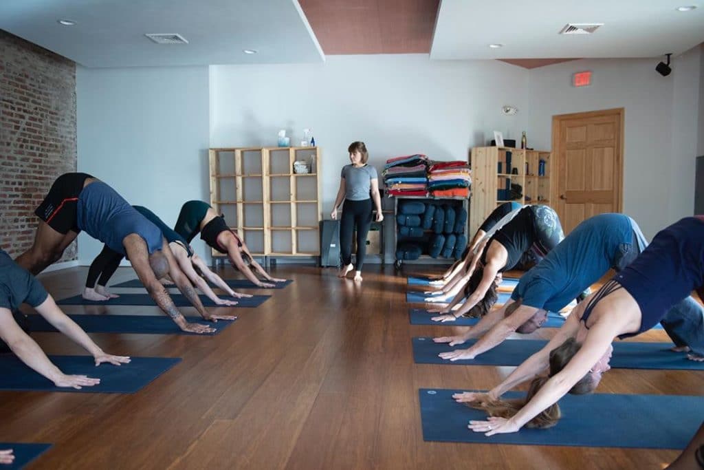 bluebird-yoga-free-classes