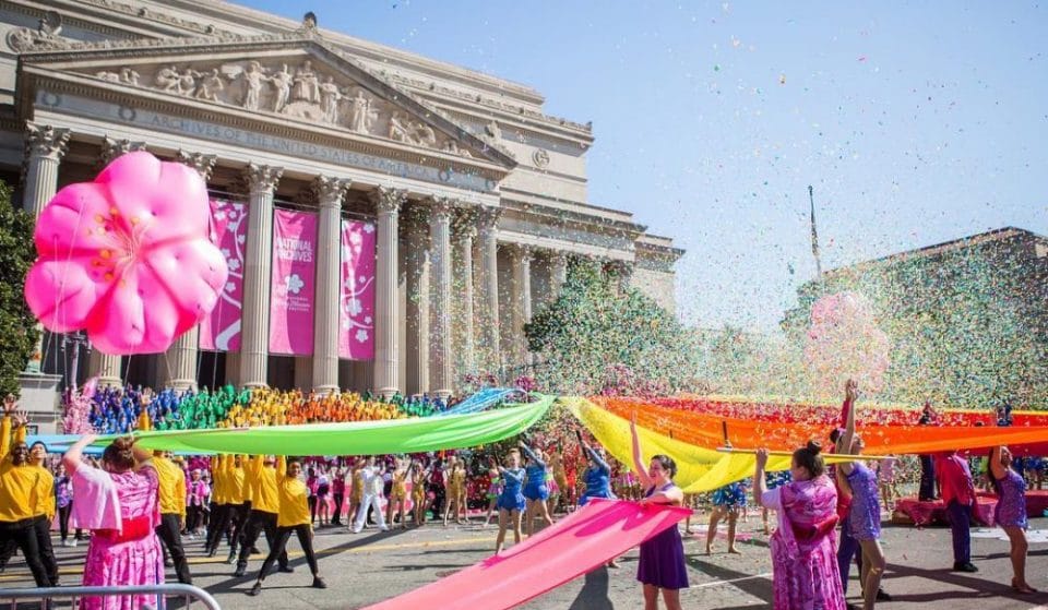 The National Cherry Blossom Festival Has Gone Virtual So You Can Still Enjoy It At Home