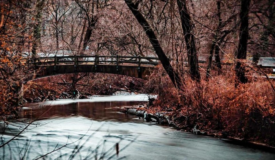 10 Beautiful Shots of Rock Creek Park That Will Make You Want To Get Your Hike On