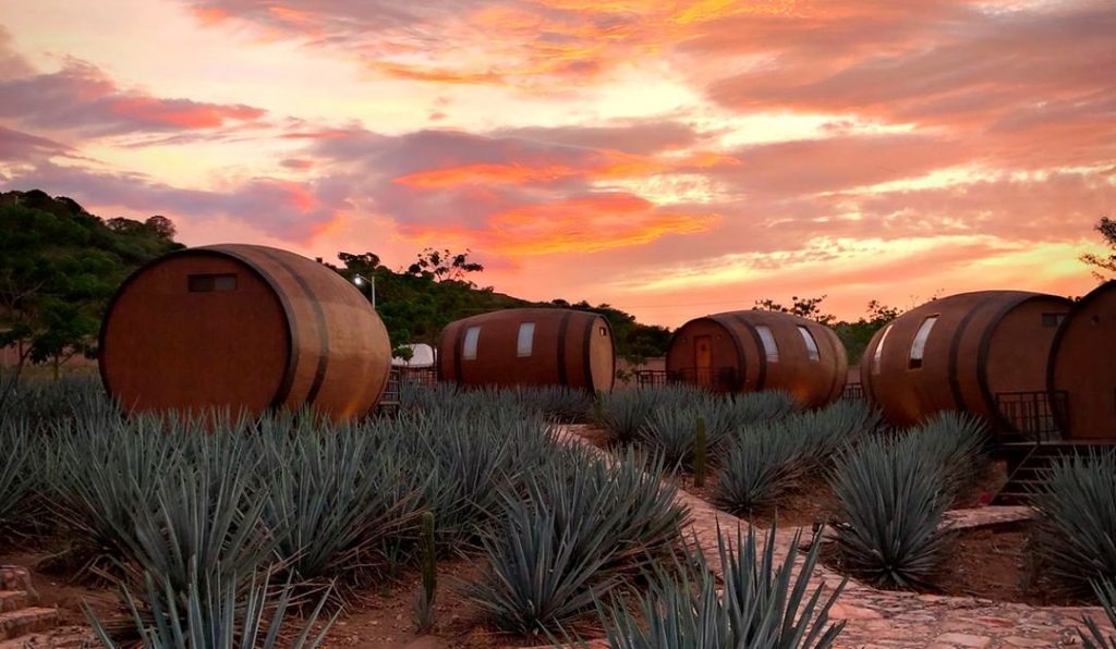 This Hotel In Mexico Lets You Sleep In A Giant Barrel And Drink Tequila Straight From The Source