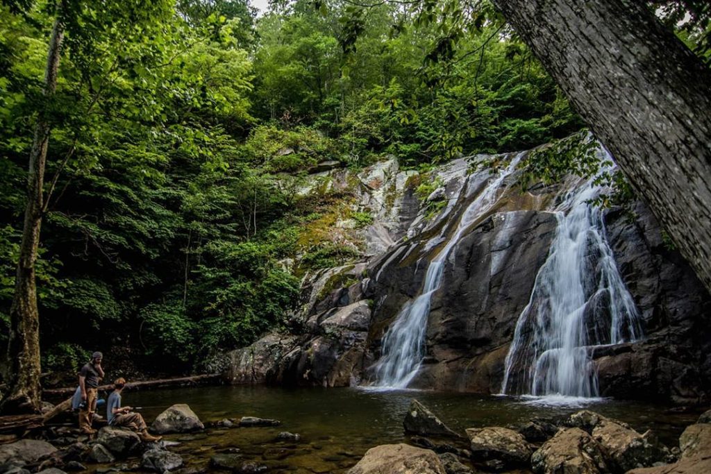 Whiteoak Canyon Trail