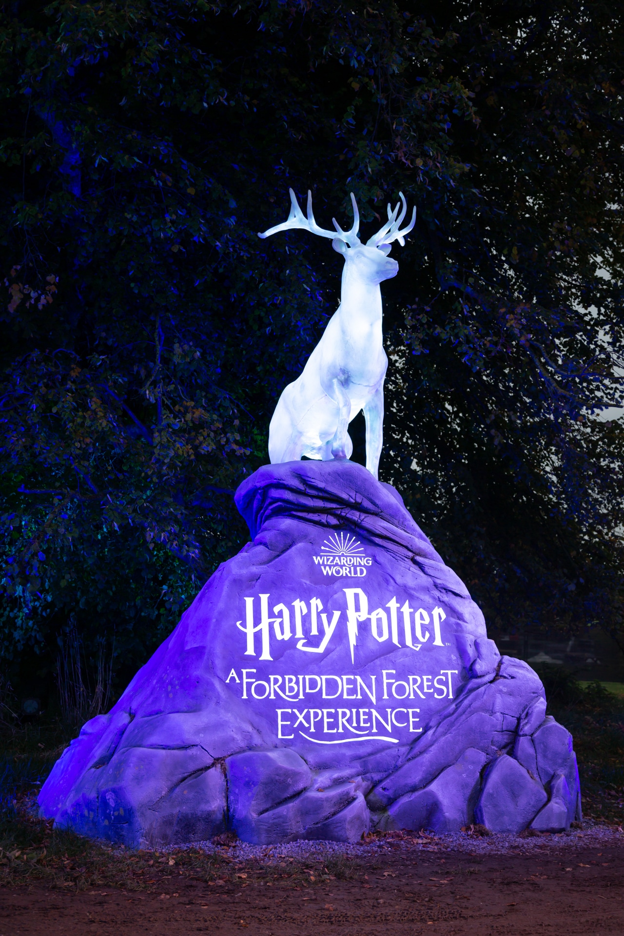 harry-potter-a-forbidden-forest-experience