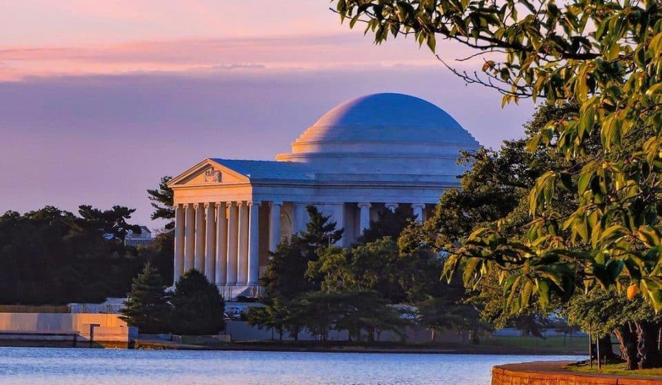 35 Fun-Filled Things To Do In D.C. This August