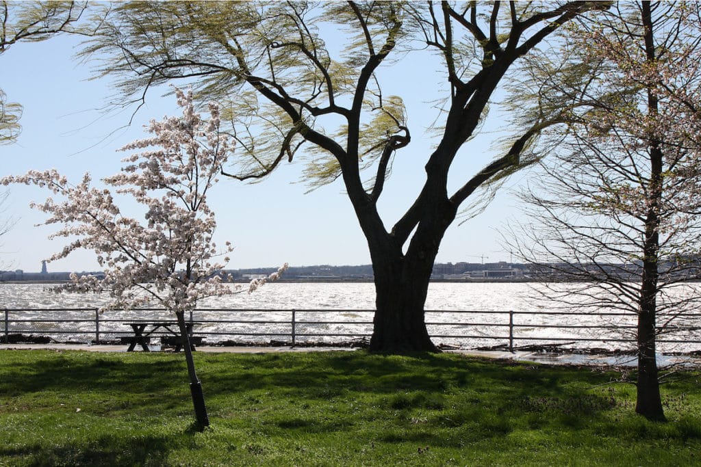 Hains Point