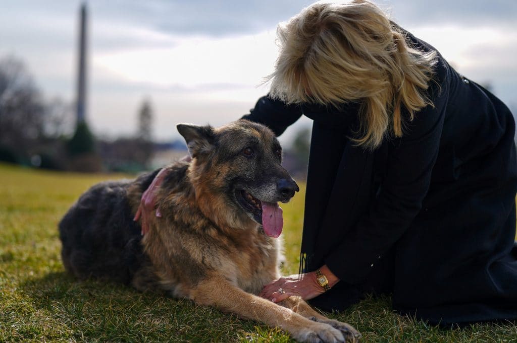 The First Pups Have Finally Arrived At The White House!