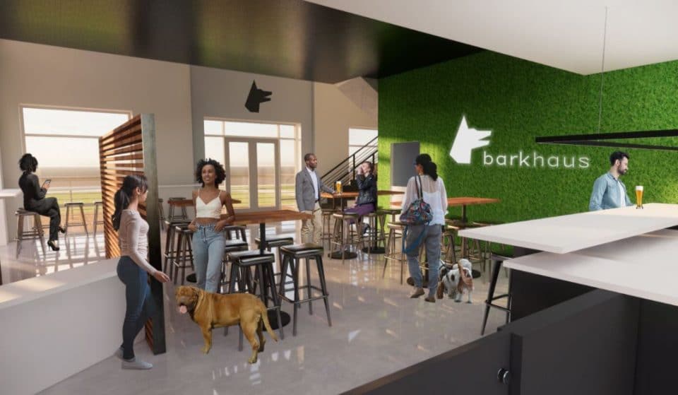 This Paw-esome New Dog Bar Is Now Open In Alexandria • Brewski’s Barkhaus