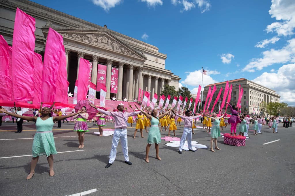 National Cherry Blossom Festival