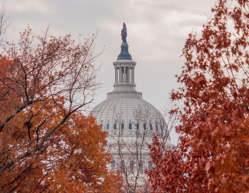This Interactive Map Predicts When Fall Foliage Will Peak In D.C.—And It’s Soon