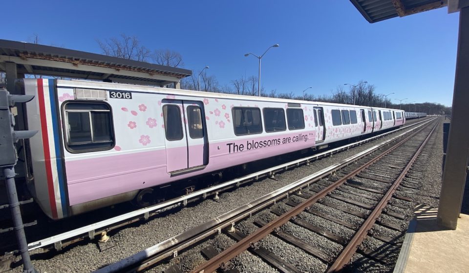 Metro Is Decked Out For National Cherry Blossom Festival