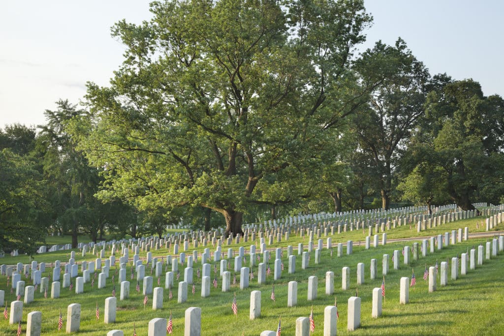 Flags In for Memorial Day in Arlington National Cemetery