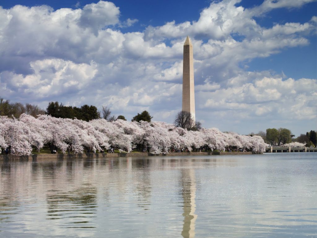 The Washington Monument Is Closing Indefinitely