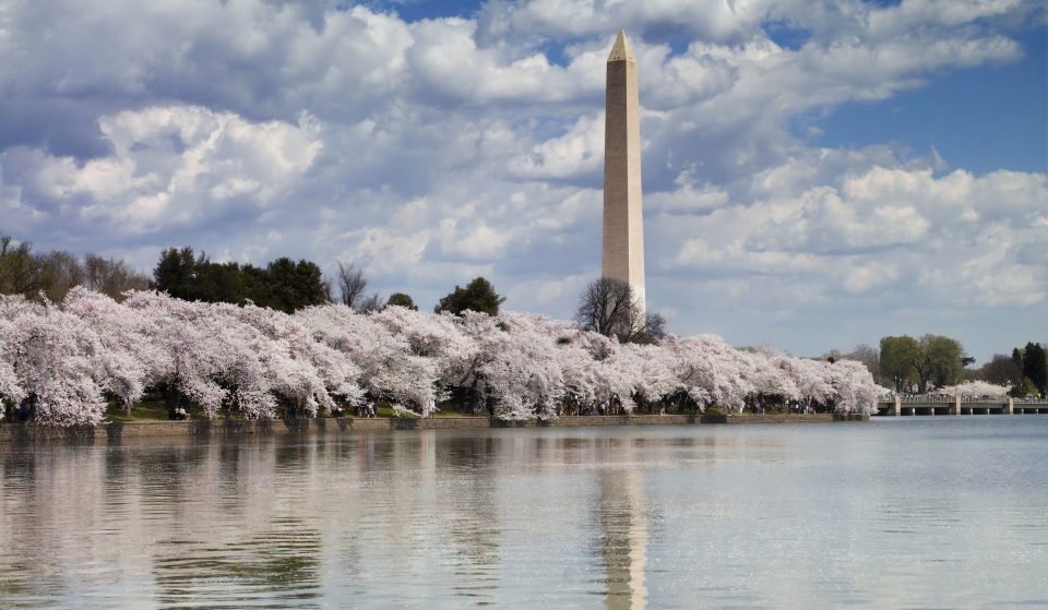 The Washington Monument Is Closing Indefinitely