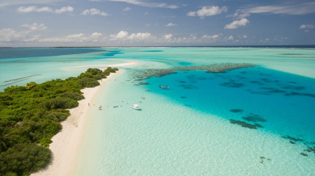 A Resort In The Maldives Is In Need Of A ‘Barefoot Bookseller’ To Run Their Bookshop