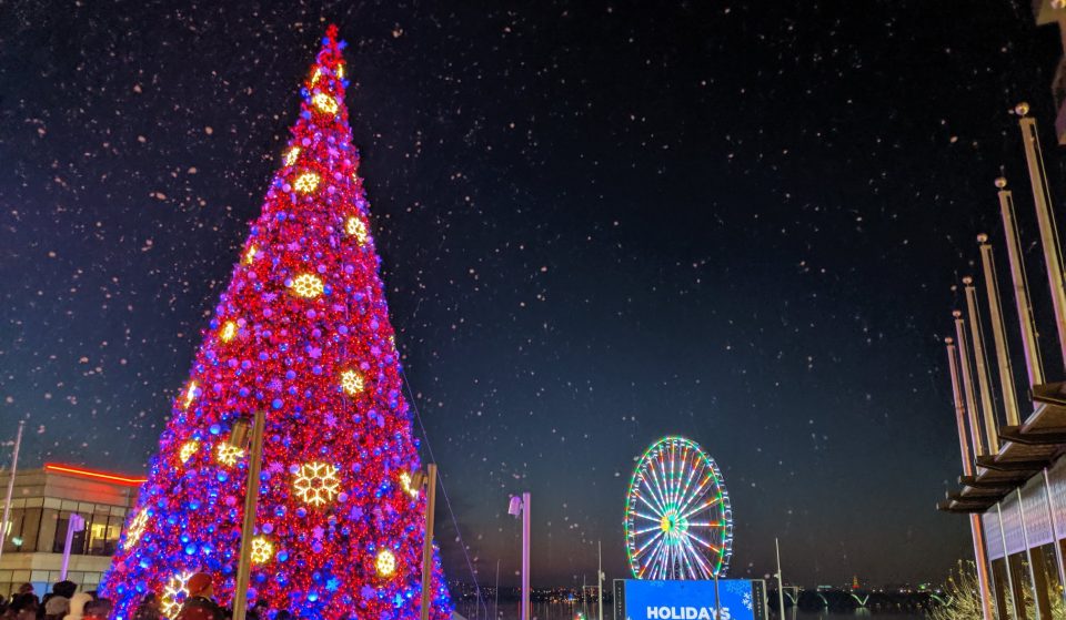 The National Harbor’s Tree Is Now Officially Lit For The Holidays