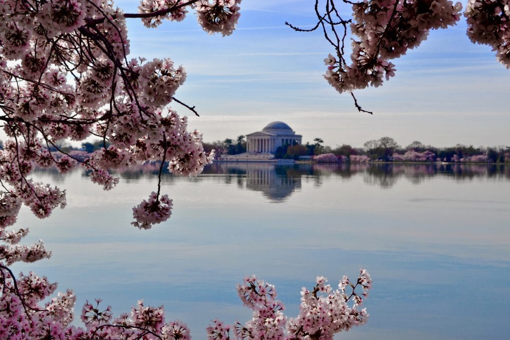 Major Roads Around National Mall Close To Restrict Access To Tidal Basin