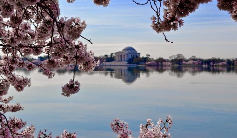 Major Roads Around National Mall Close To Restrict Access To Tidal Basin