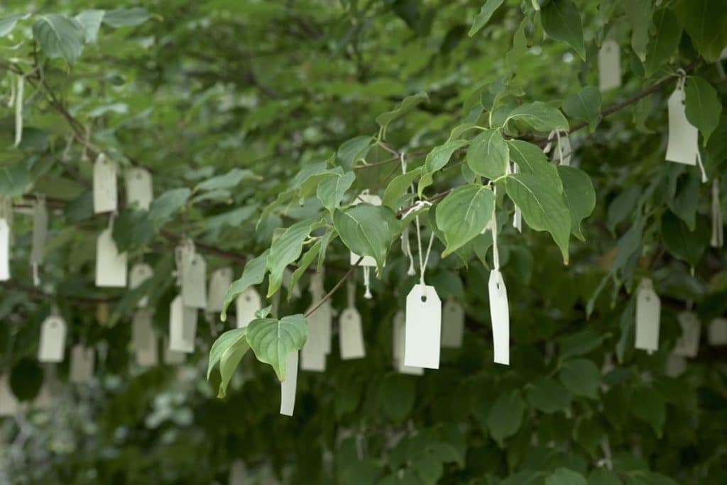 Yoko Ono Wish Tree