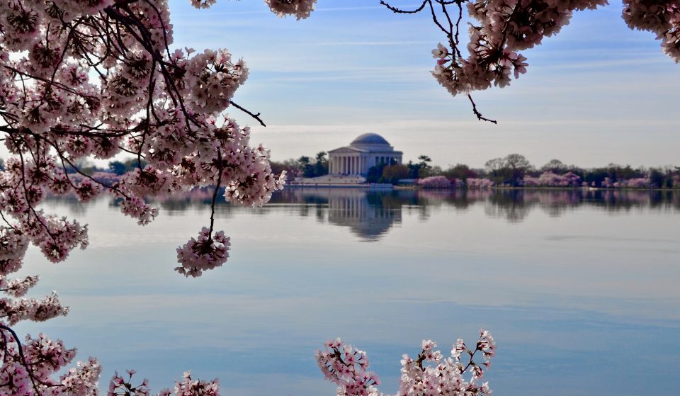 Several Major D.C. Monuments May Be Renamed Soon