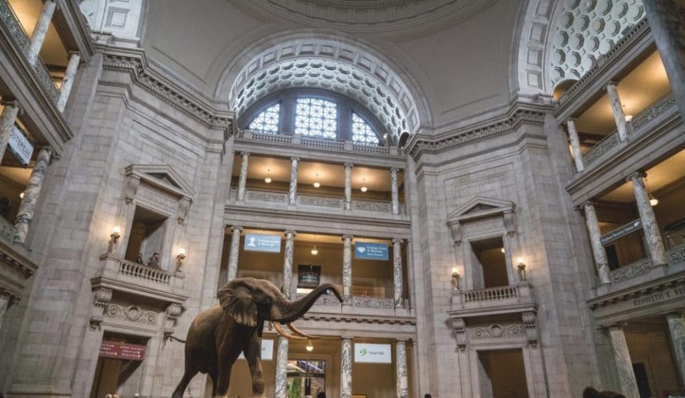 18 DC Museums You Can Visit From The Comfort of Your Own Home