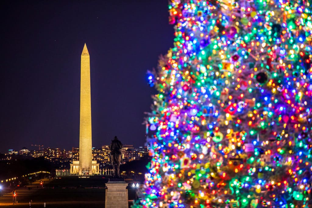 Capitol Holiday Tree