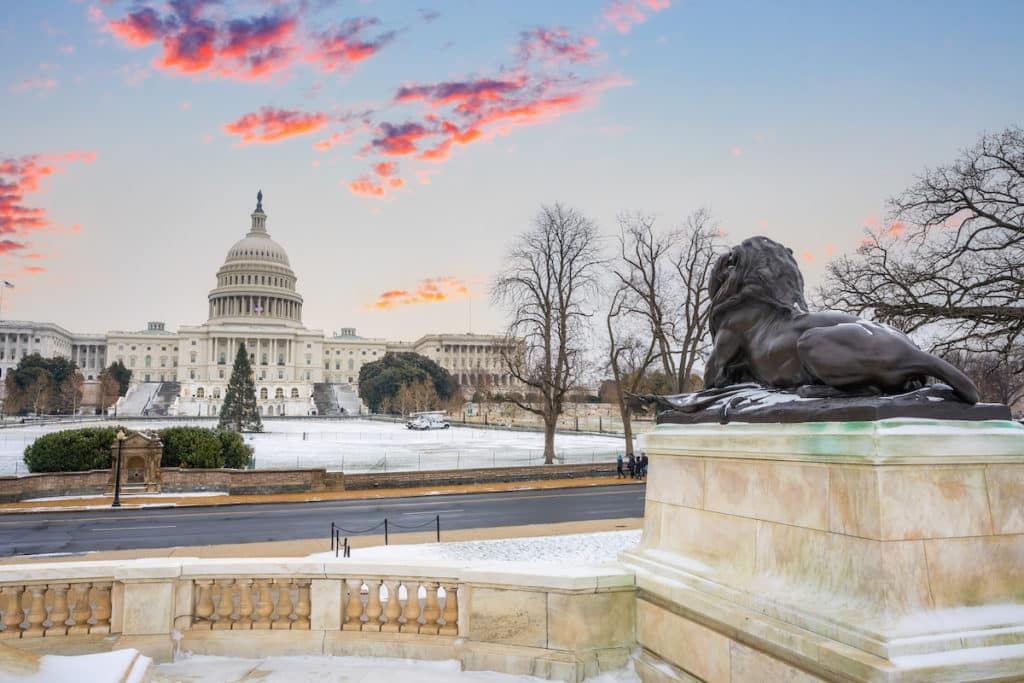 D.C. in February winter