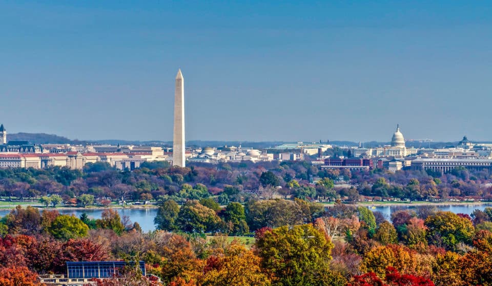 10 Stunning Places To See The Changing Leaves Around D.C.