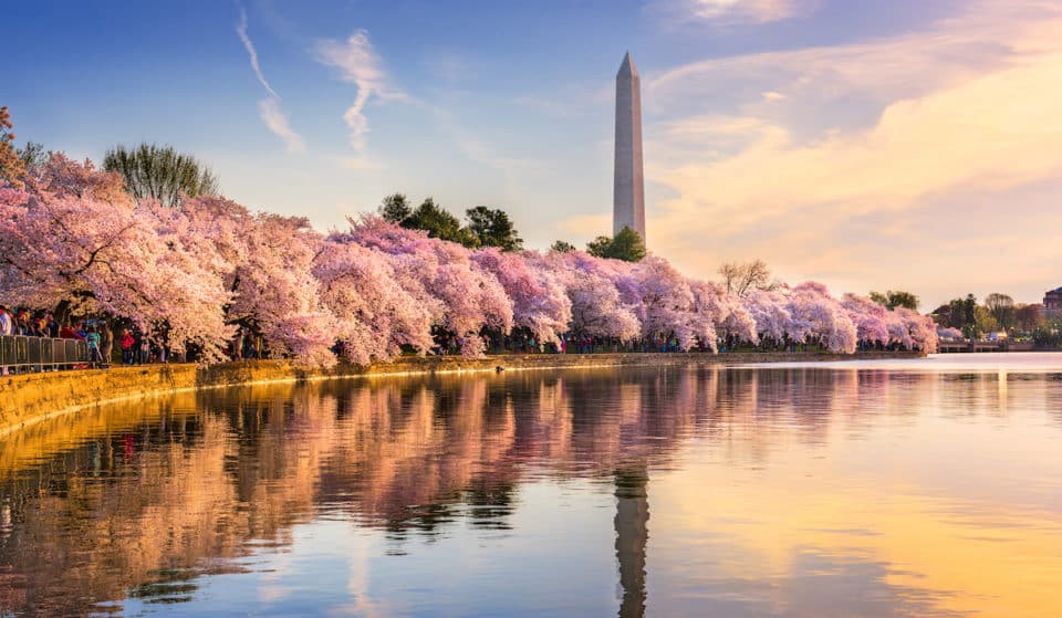 23 Magnificent Things To Do In D.C. This March