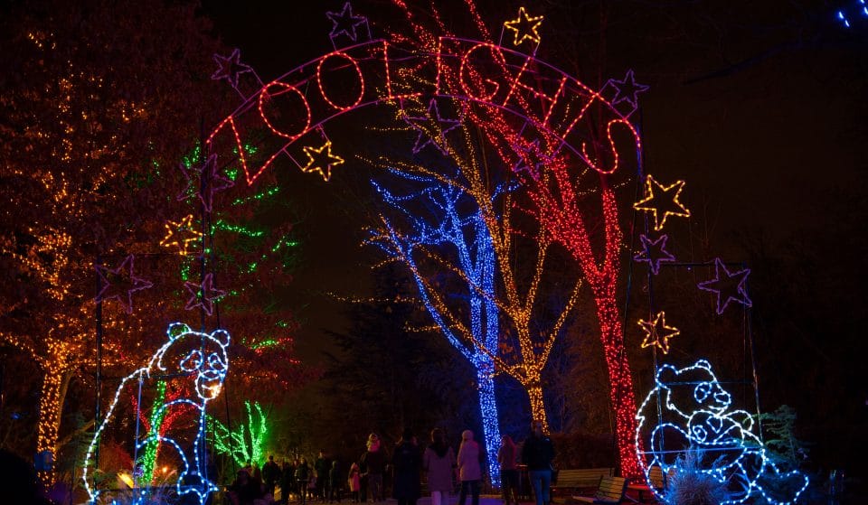 The National Zoo’s Holiday Light Show Is Going On The Road This Year