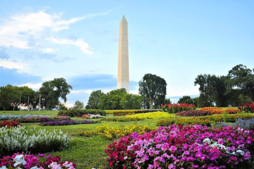 7 Must-Visit Flourishing Botanical Gardens In D.C.