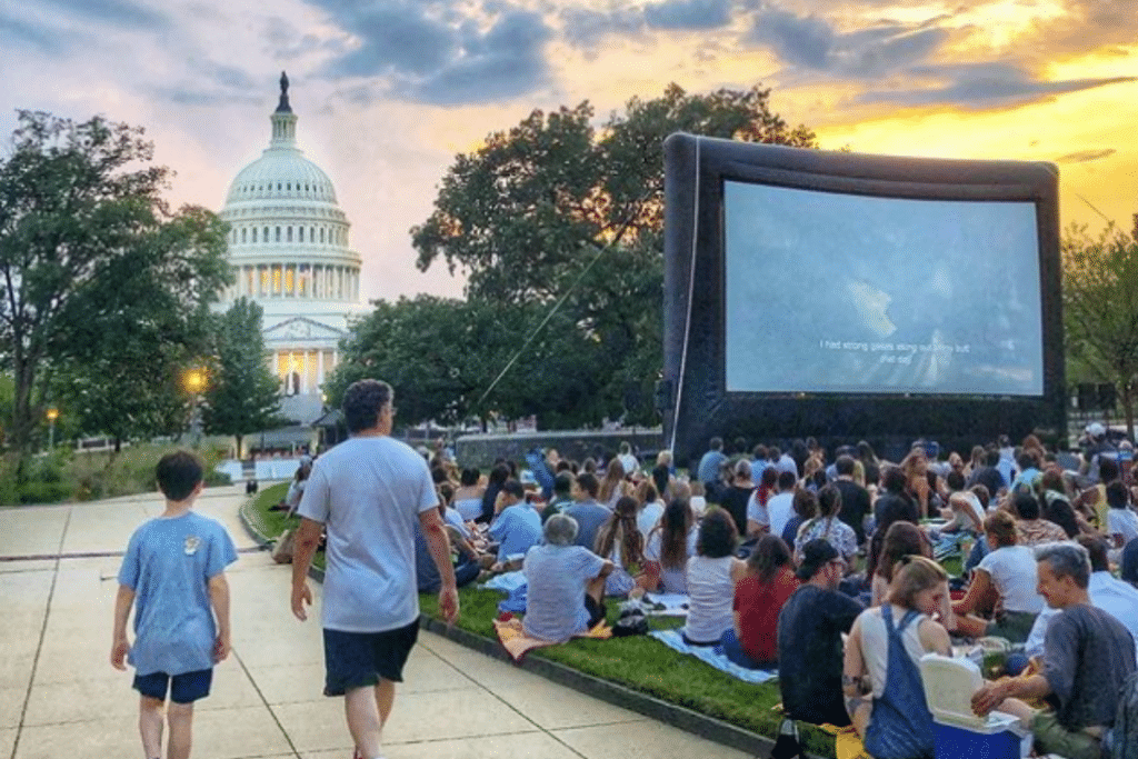 7 Free Things To Do In DC